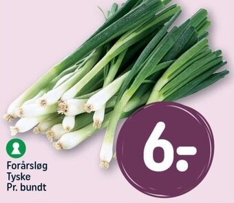 REMA 1000 Forårsløg Tyske Pr. bundt tilbud