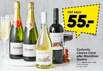 Bilka Ukendt spansk mousserende vin tilbud