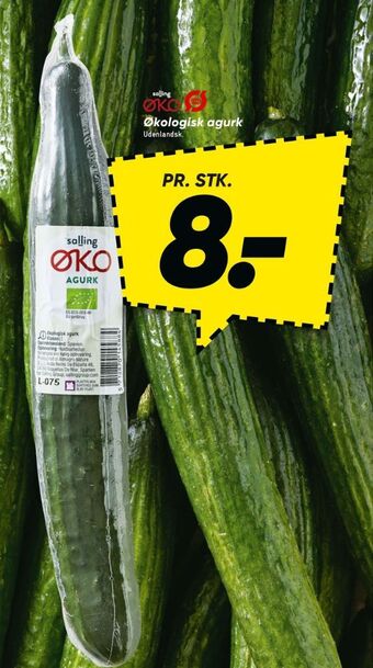 Bilka Salling øko agurk tilbud