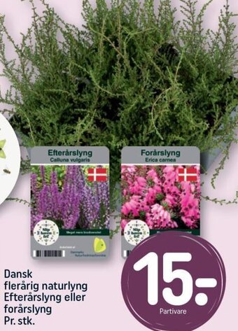 Dansk flerårig naturlyng Efterårslyng eller forårslyng Pr. stk.