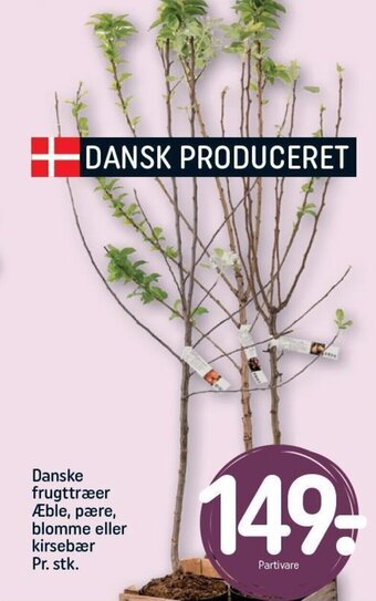 Danske frugttræer Æble, pære, blomme eller kirsebær Pr. stk.