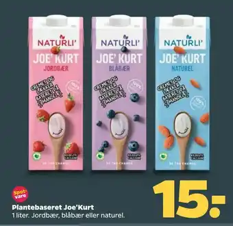 Plantebaseret Joe'Kurt