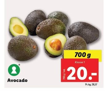 Lidl Avocado tilbud