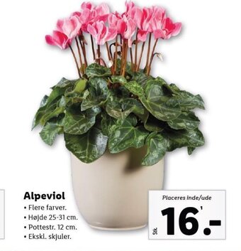 Lidl Alpeviol tilbud
