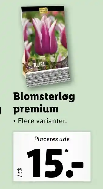 Let-Køb Blomsterløg premium tilbud