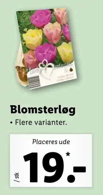 Let-Køb Blomsterløg tilbud
