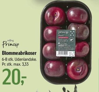 Føtex Blommeabrikoser tilbud