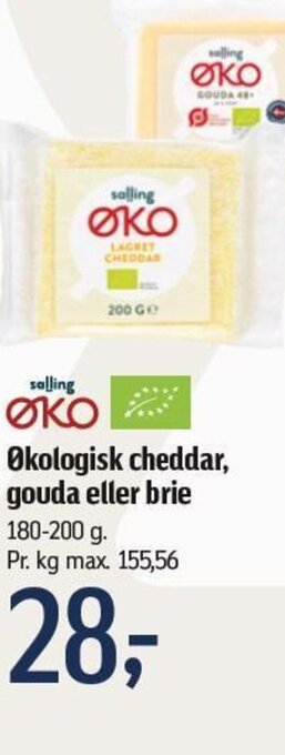 Føtex Økologisk cheddar, gouda eller brie tilbud