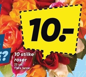 Bilka 10 stilke roser tilbud