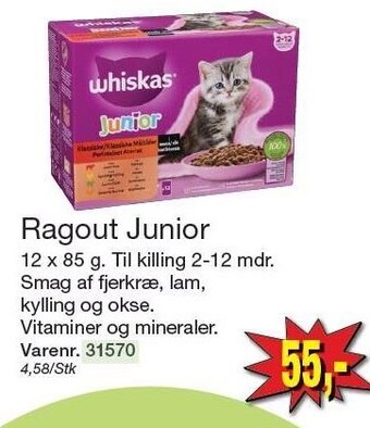 Ragout junior