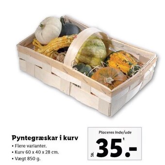 Lidl Pyntegræskar i kurv tilbud