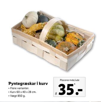 Lidl Pyntegræskar i kurv tilbud