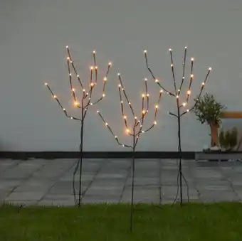 Harald Nyborg Nowel lystræer 100 cm 3-pak tilbud