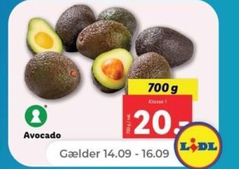 Netto Avocado tilbud