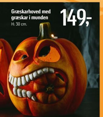 Føtex Ukendt halloween græskar tilbud