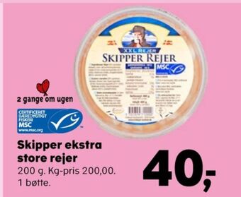 Skipper rejer