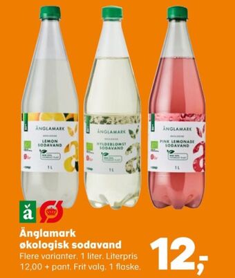 Hyldeblomst hyldeblomstsodavand