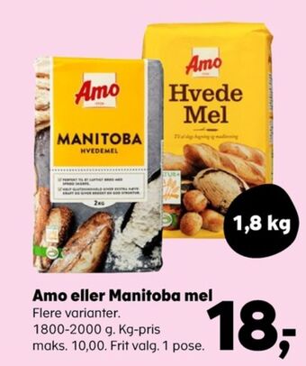 Amo manitobamel