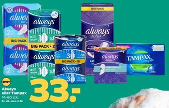 Netto Tampax tamponer tilbud