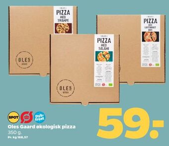 Ole's pizza