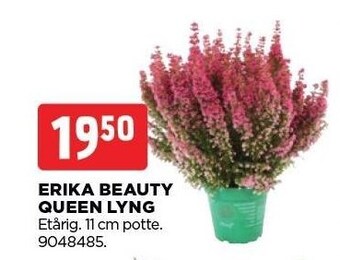 jem & fix Erika beauty queen lyng tilbud