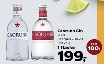 Caorunn Gin