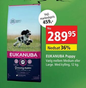 Maxi Zoo EUKANUBA Puppy tilbud
