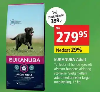 Maxi Zoo EUKANUBA Adult tilbud