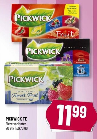 Løvbjerg PICKWICK TE tilbud