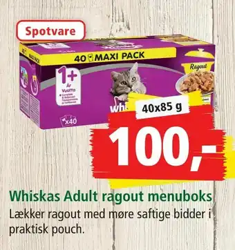 Maxi Zoo Whiskas Adult ragout menuboks tilbud