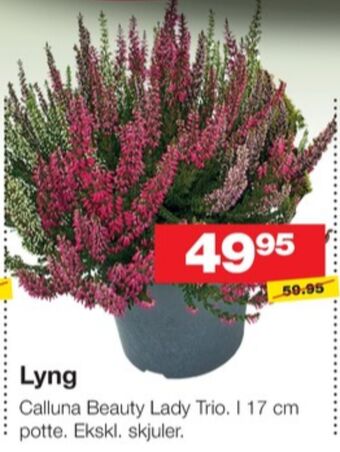 Bauhaus Ukendt planter tilbud