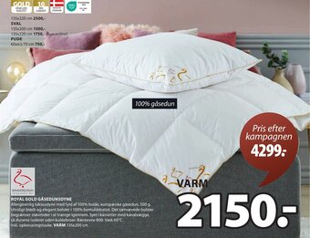 JYSK ROYAL GOLD GÅSEDUNSDYNE tilbud
