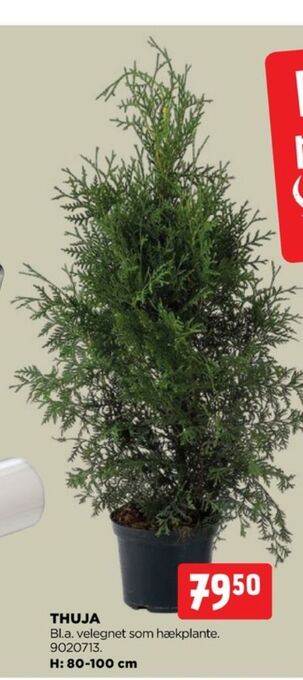 jem & fix Ukendt planter tilbud