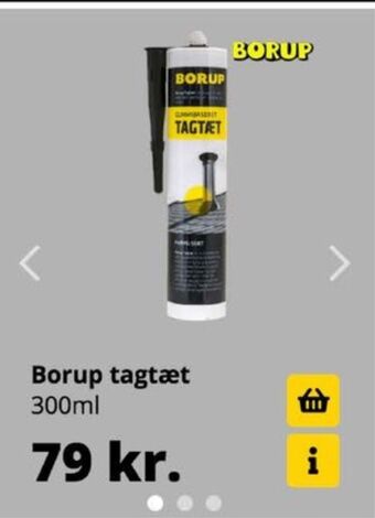 Borup tagtæt