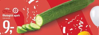 Føtex Økologisk agurk tilbud