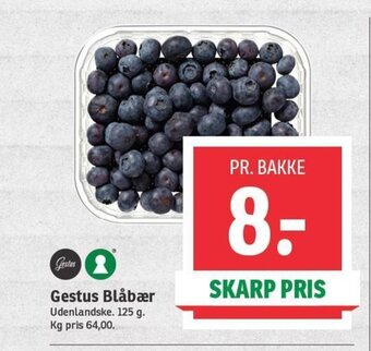 SPAR Gestus Blåbær tilbud