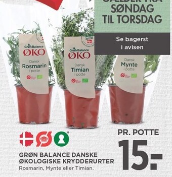 Grøn balance danske økologiske krydderurter
