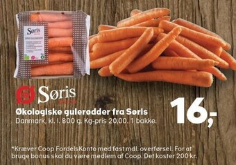 Kvickly Økologiske gulerødder fra søris tilbud