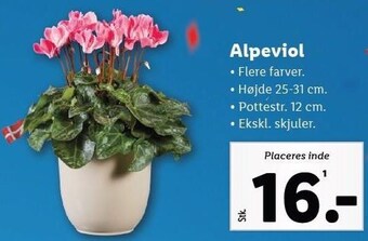 Lidl Alpeviol tilbud