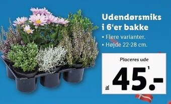 Lidl Udendørsmiks i 6'er bakke tilbud