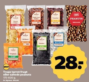 Netto Trope tørret frugt eller saltede peanuts tilbud