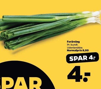 Netto Forårsløg tilbud