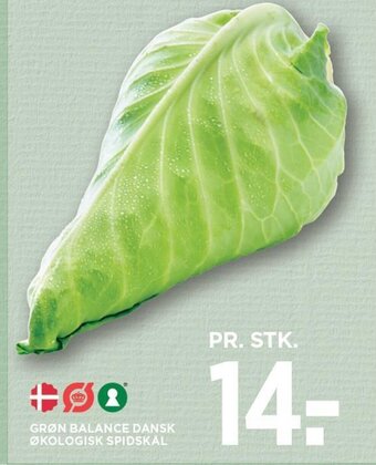 MENY GRØN BALANCE DANSK ØKOLOGISK SPIDSKÅL tilbud
