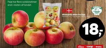 Økologiske æbler fra fejø
