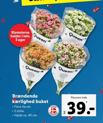 Lidl Brændende kærlighed buket tilbud