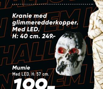 Kranie med glimmer ed der kopper