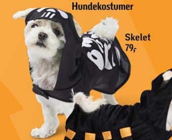 Føtex Hundekostumer tilbud