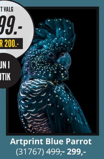 Artprint blue parrot