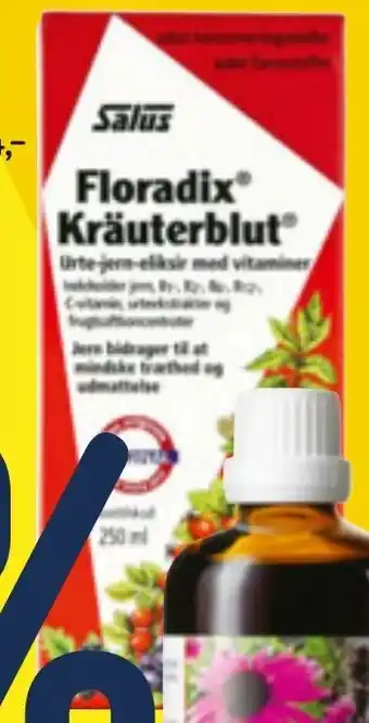 Salus Floradix Krauterblut 250ml