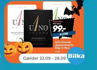 Uno Grande Appassimento Bag-in-Box